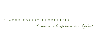 1 Acre Treed Properties